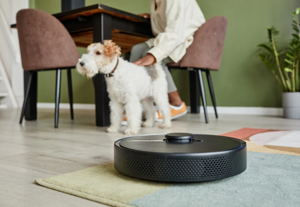 robotic vacuum and mopping cleaner